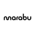 DI Airline Logo