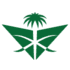 SV Airline Logo